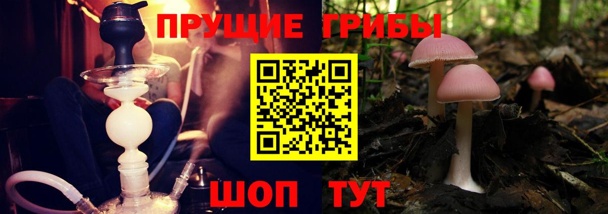 Псилоцибиновые грибы MAGIC MUSHROOMS Новый Уренгой